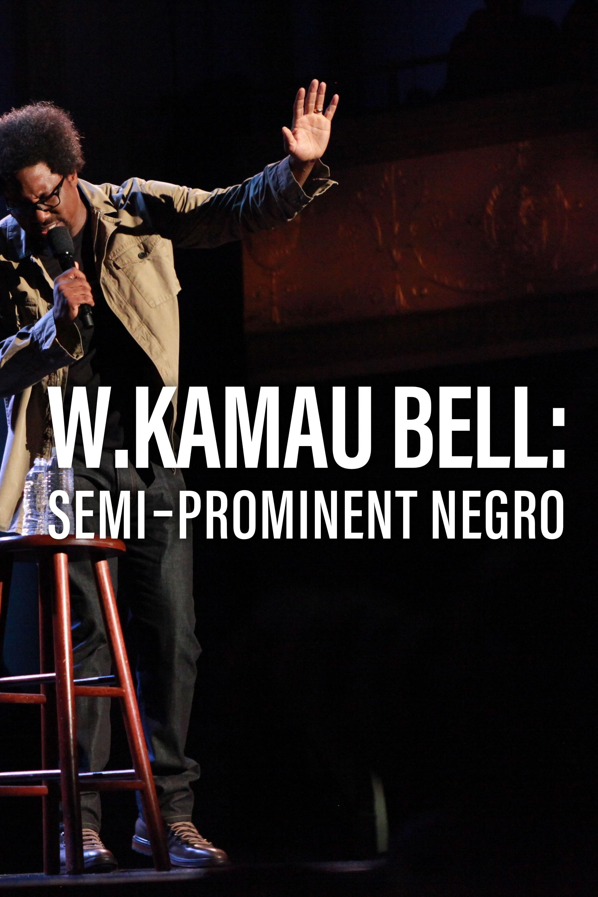 Poster de W. Kamau Bell: Semi-Prominent Negro