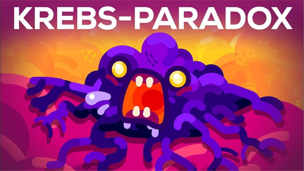 Why Blue Whales Don't Get Cancer - Peto's Paradox