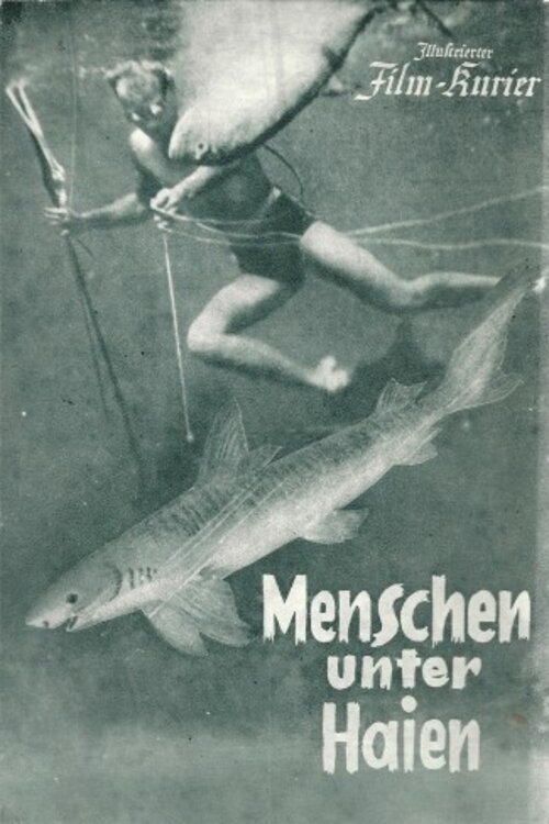 Poster de Menschen unter Haien