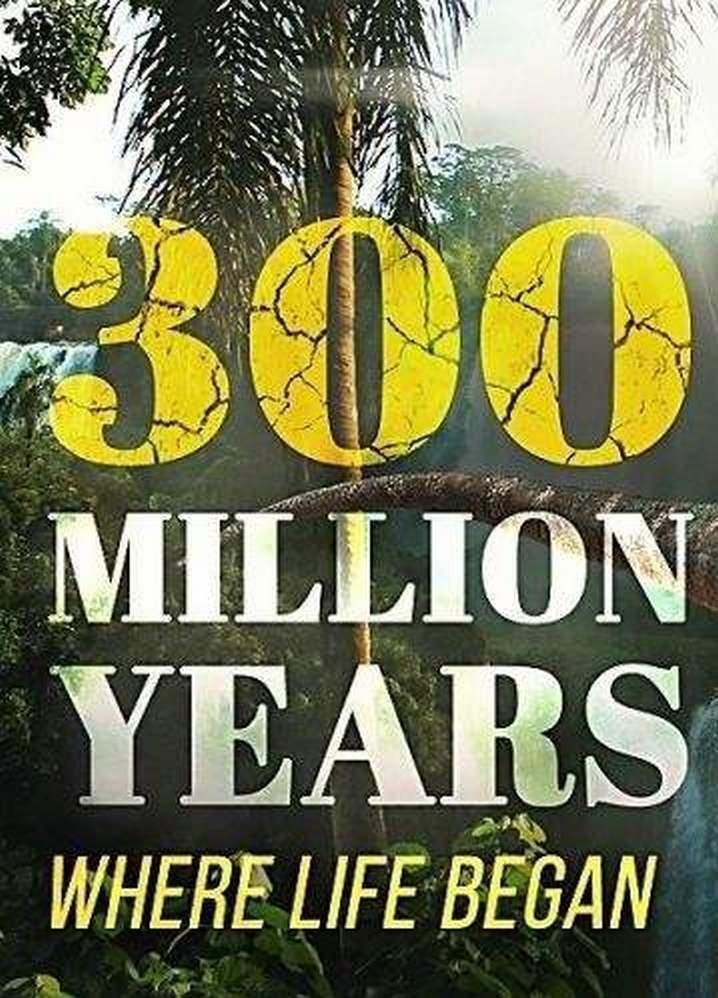 Poster of 300 Million Years