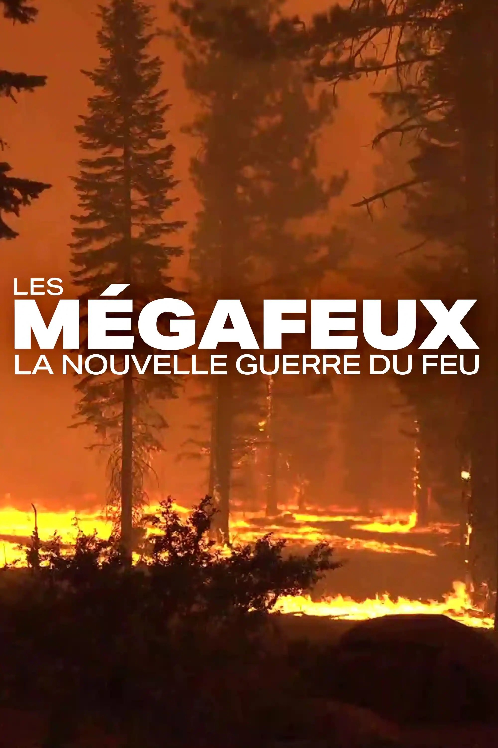 Poster de Les Mégafeux, la nouvelle guerre du feu