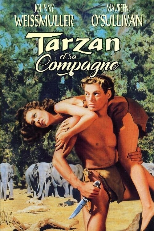 Affiche du film Tarzan and His Mate