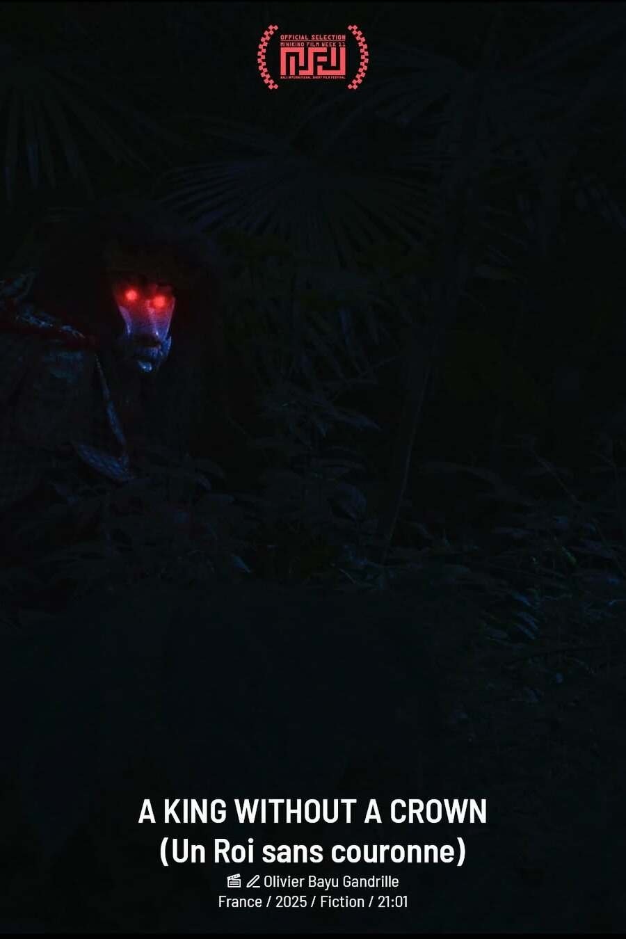Poster de Un Roi sans couronne