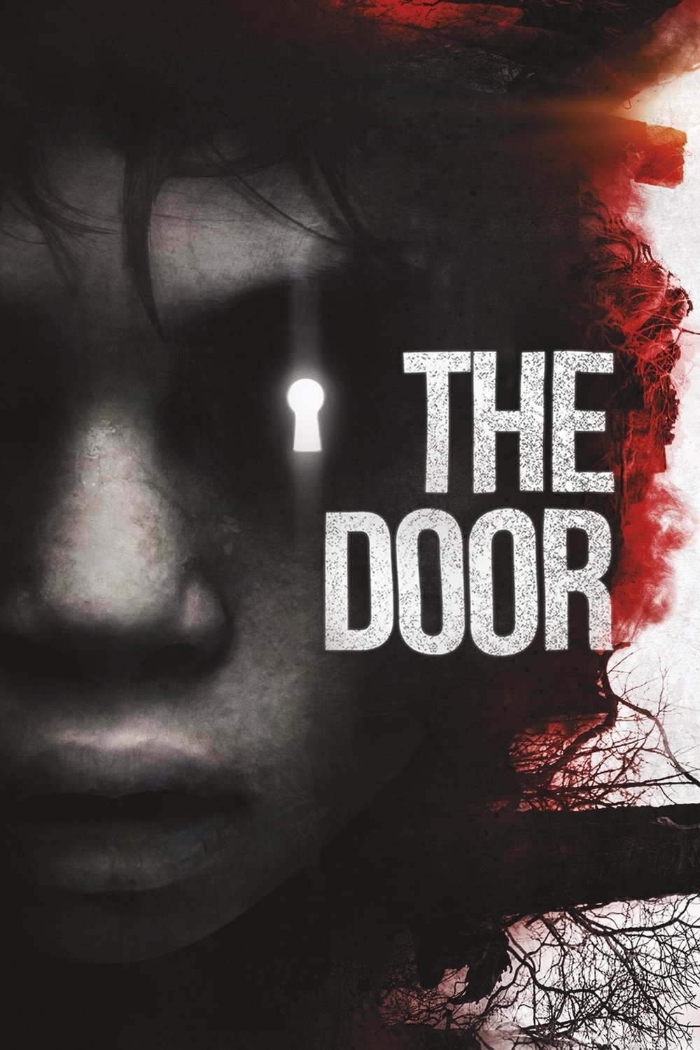 Affiche du film The Other Side of the Door