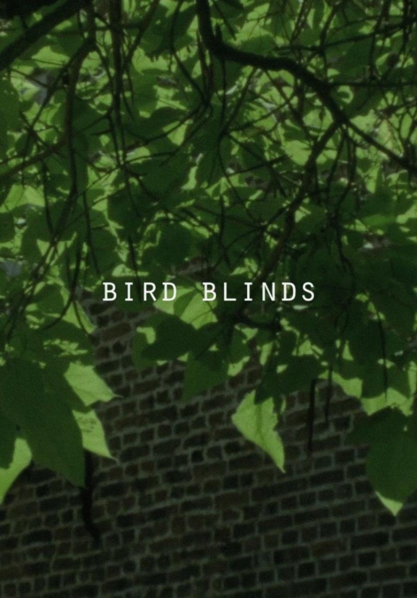 Poster de Bird Blinds