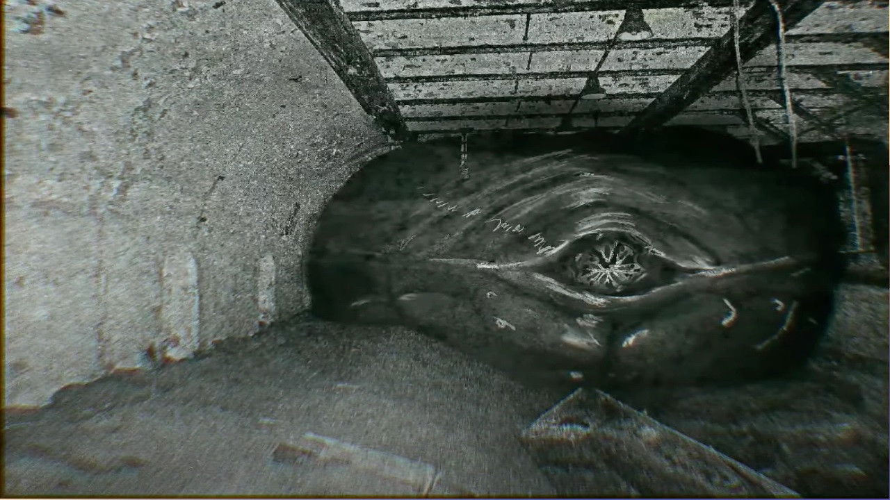 MeatSnakeSpecimen - Archived Footage