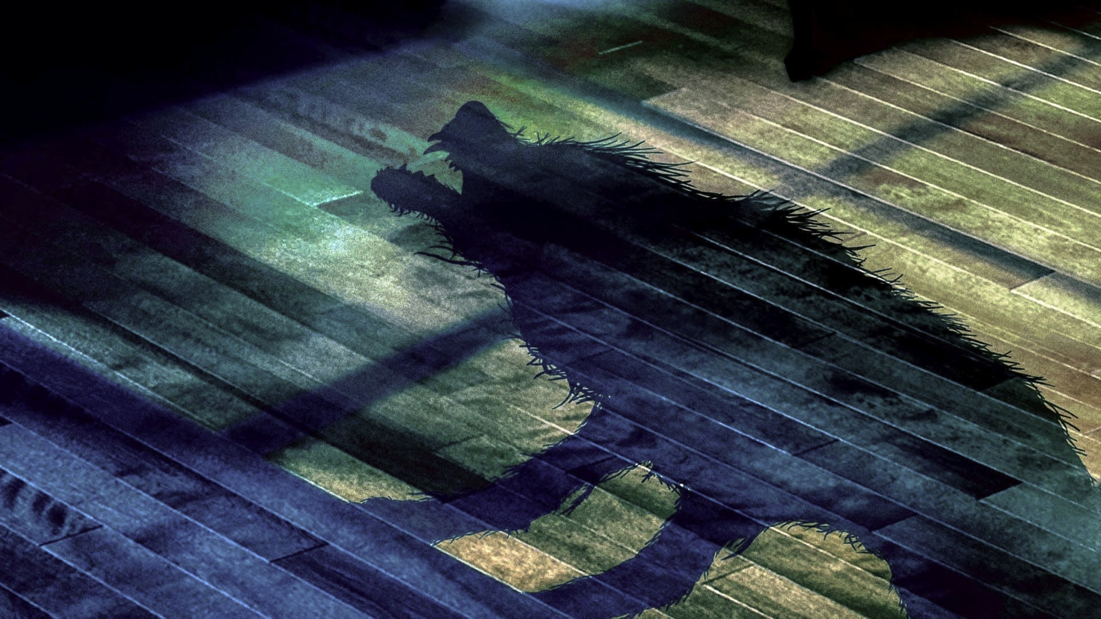 backdrops