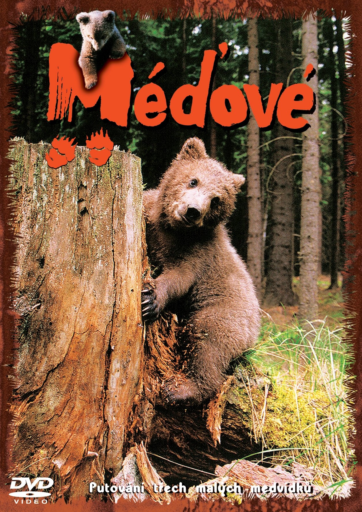 Poster de Méďové