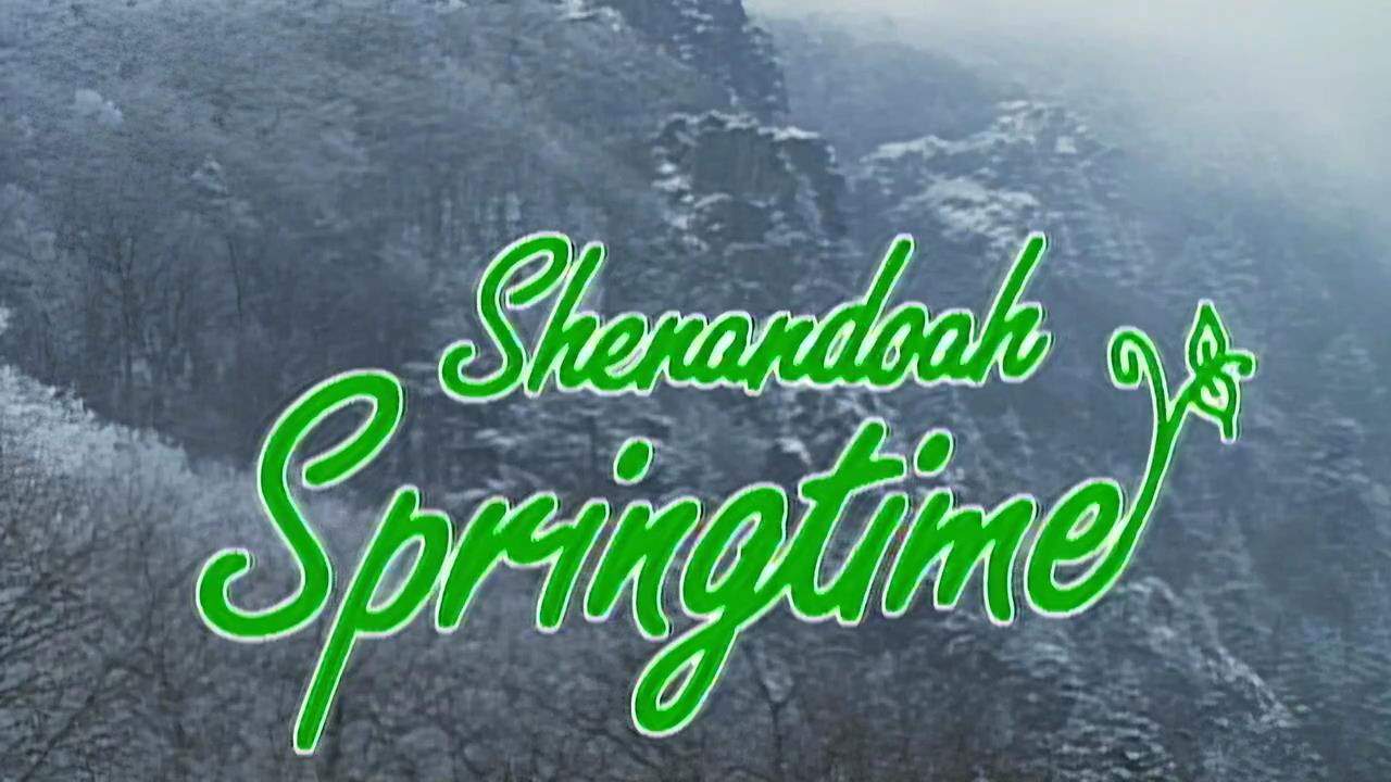Shenandoah Springtime