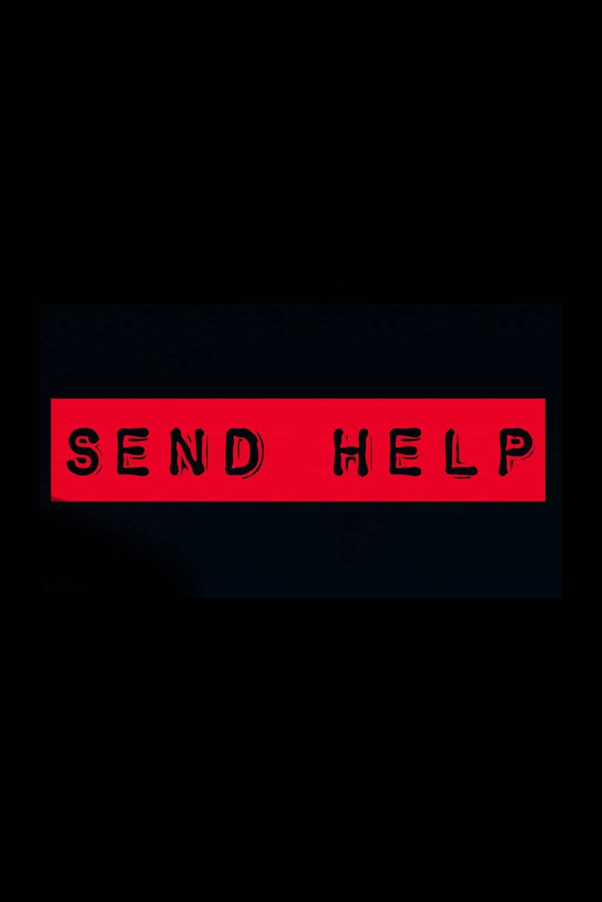 Poster de Send Help