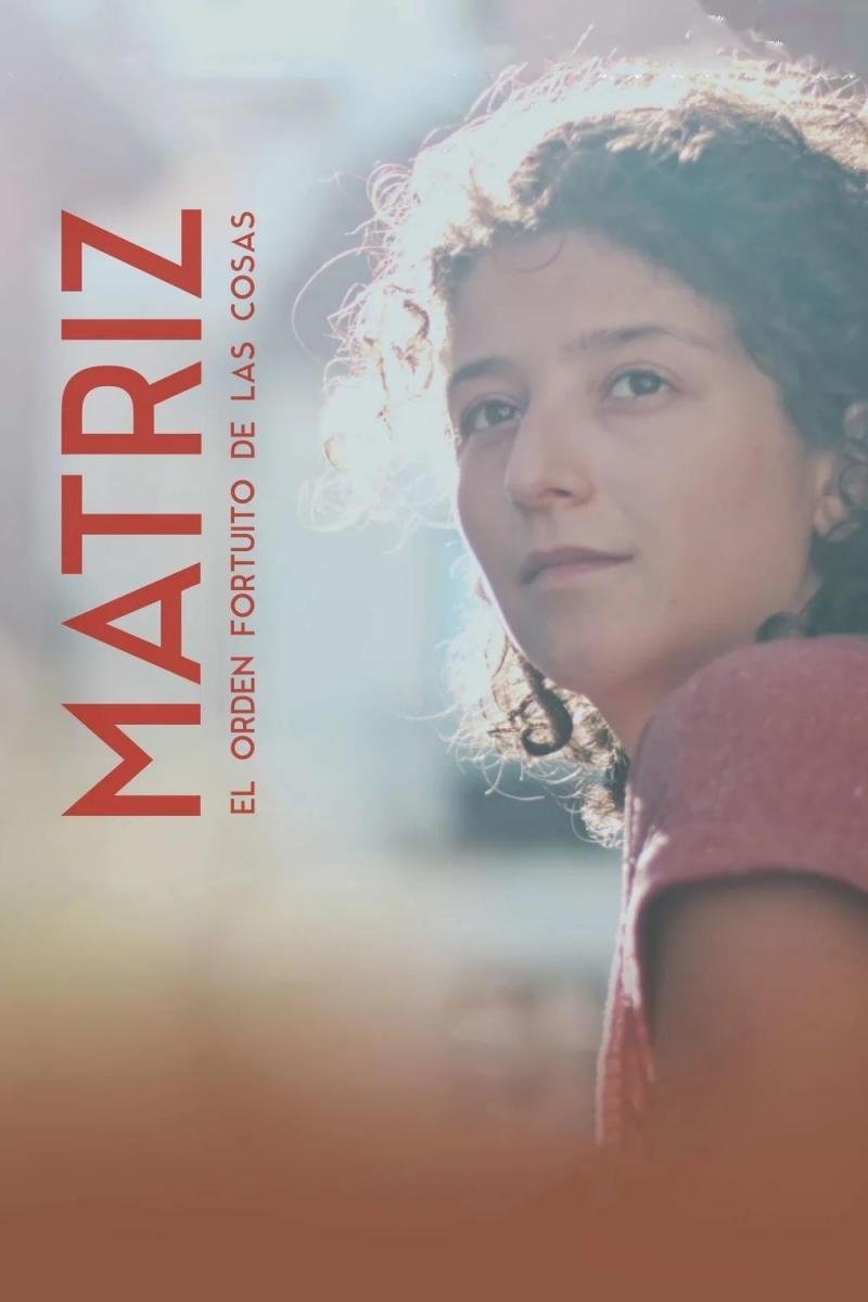 Poster de Matriz