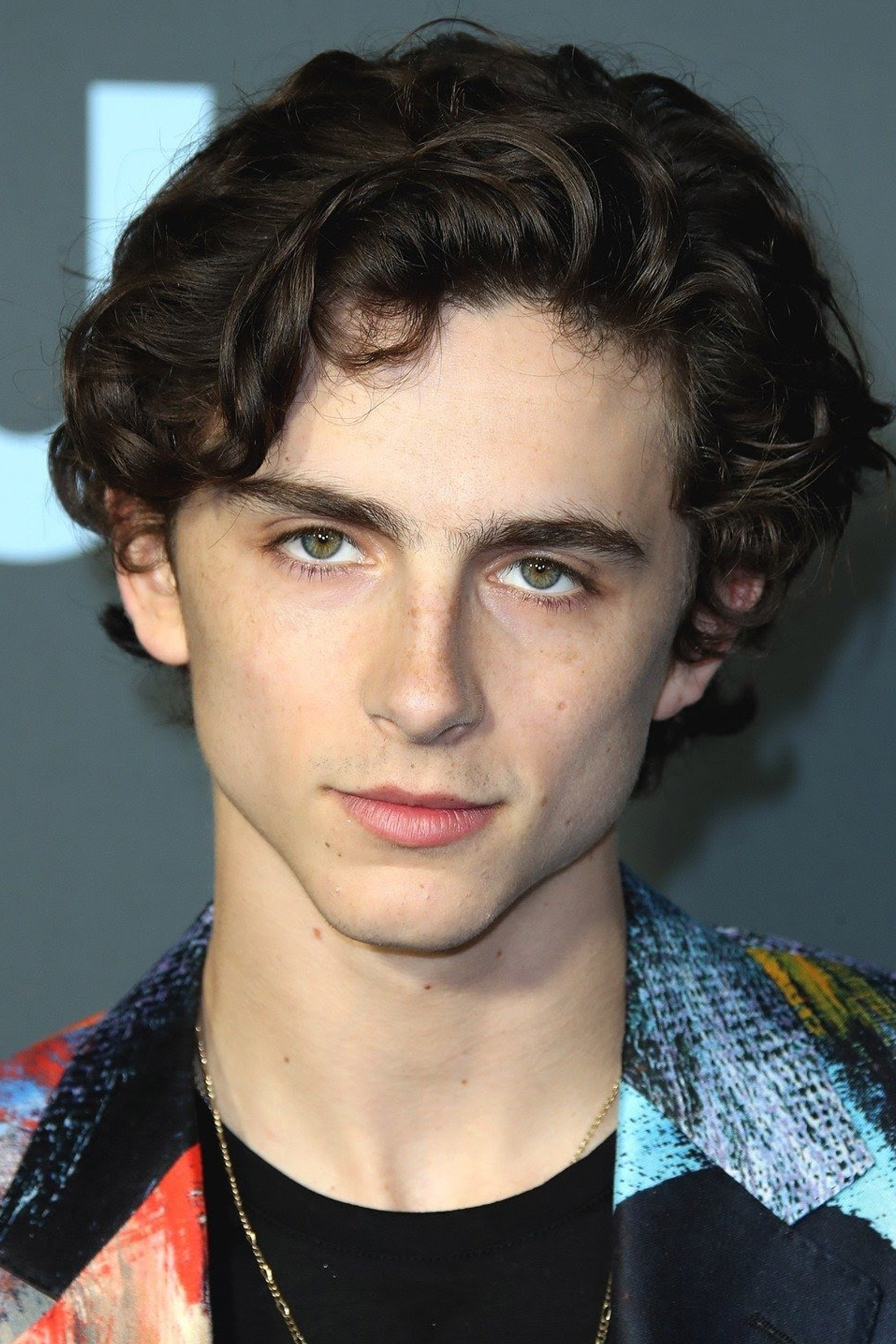Foto de Timothée Chalamet