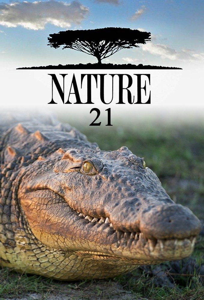 Poster de Temporada 21