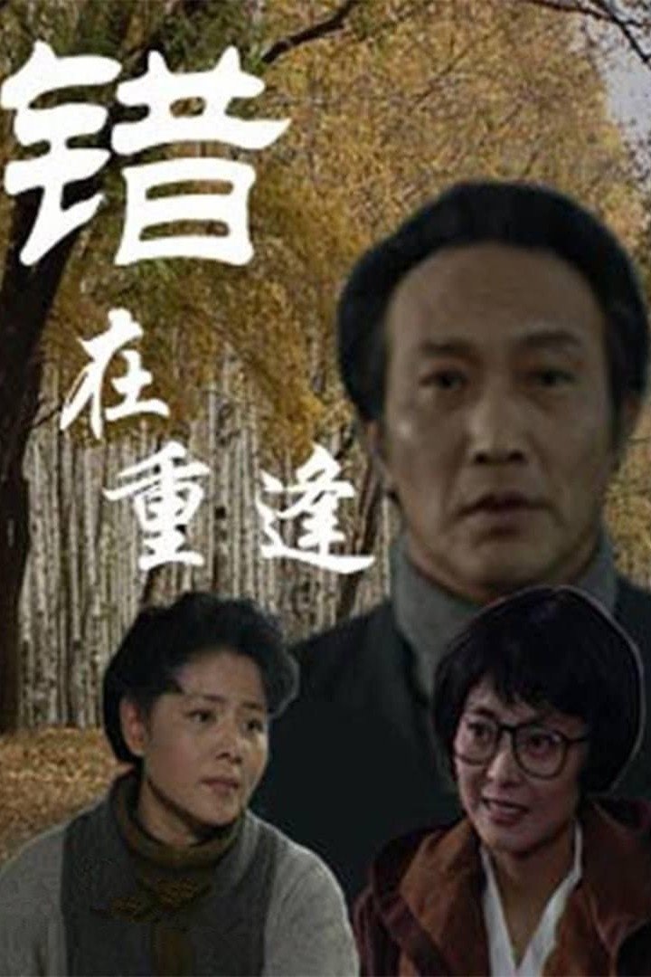 Poster de 错在重逢