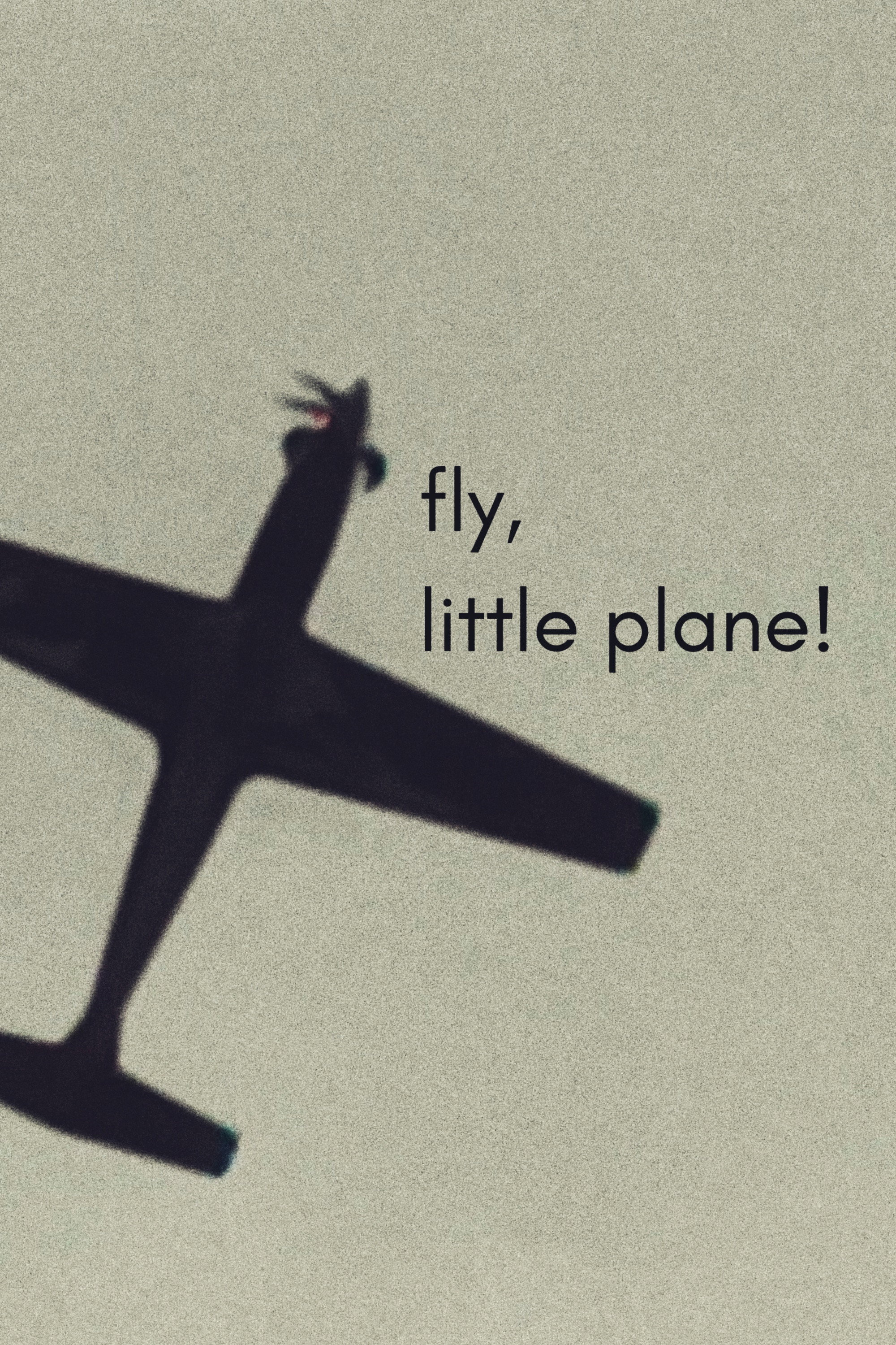 fly, little plane!