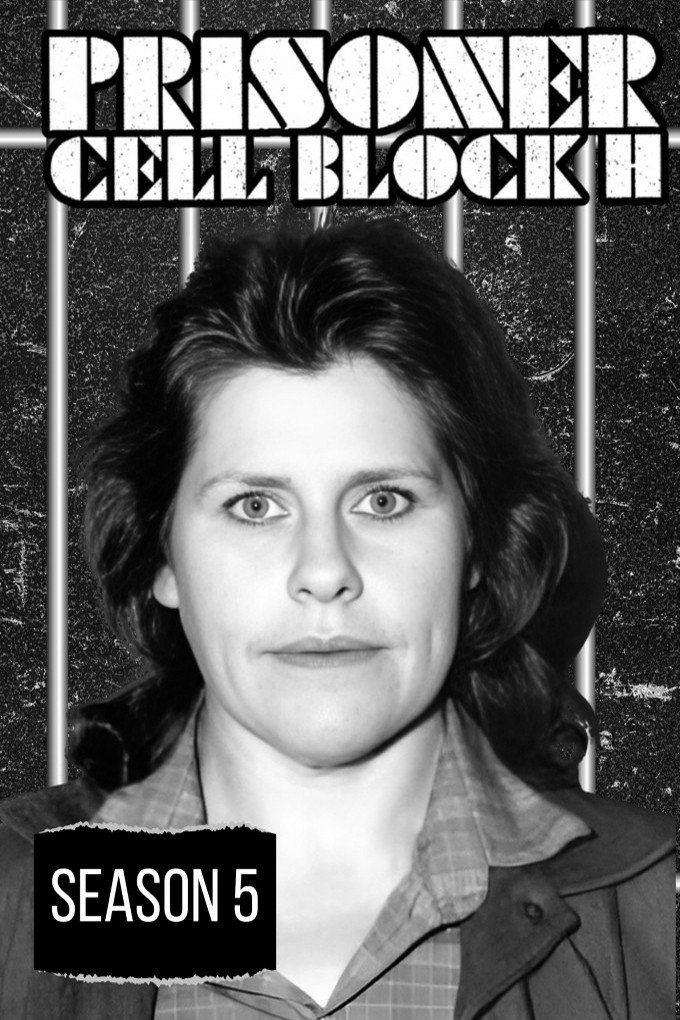 Poster de Temporada 5