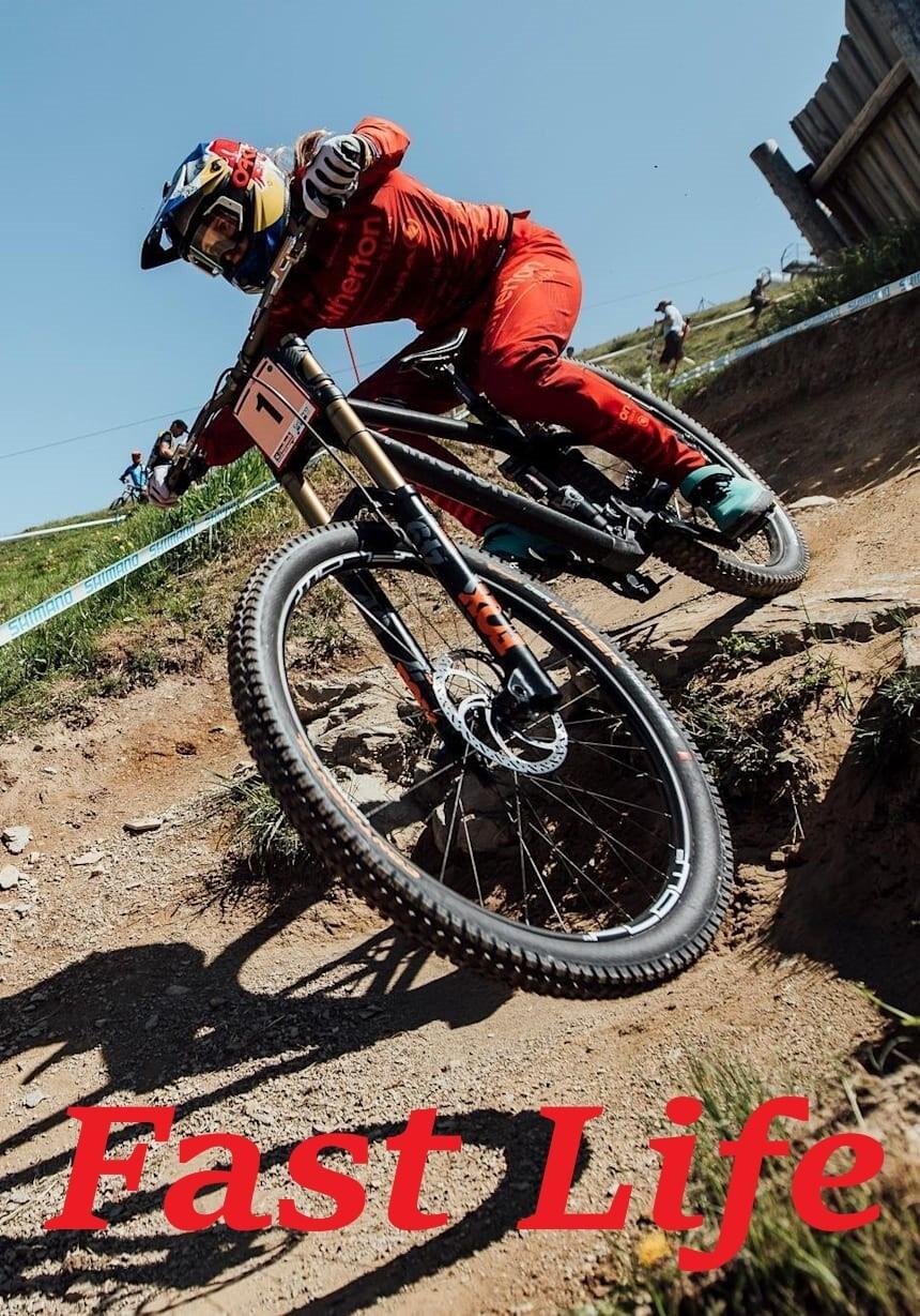 Poster de Fast Life