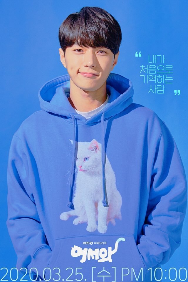 Poster de Miau, o Garoto Secreto