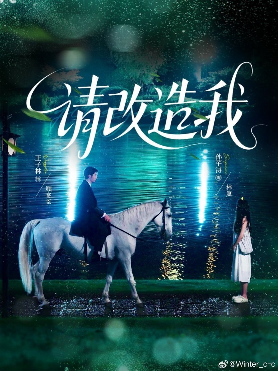 Poster de 请改造我