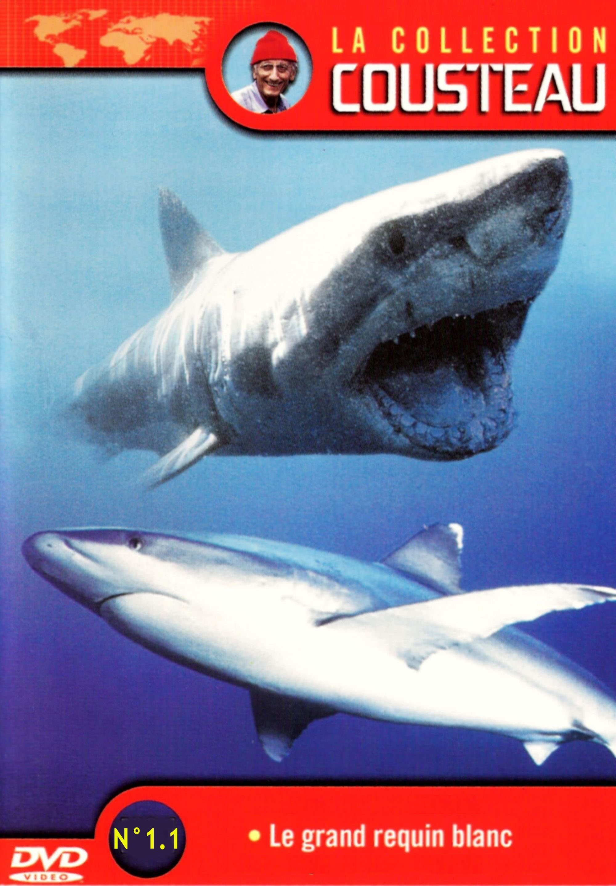 Poster de La Collection Cousteau N° 1 | Le Grand Requin Blanc | Les Requins Dormeurs Du Yucatan
