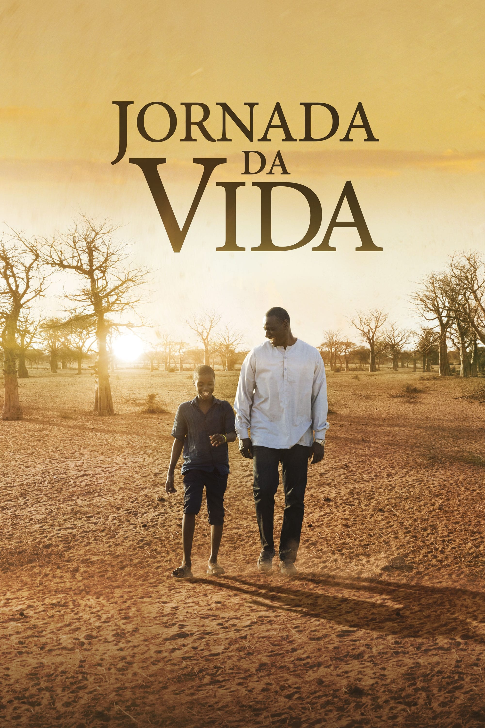 Poster de Jornada da Vida