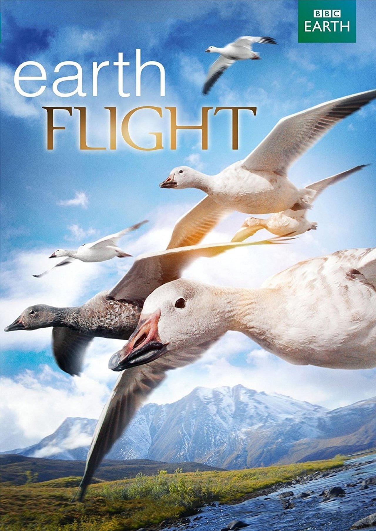 Poster de Earthflight