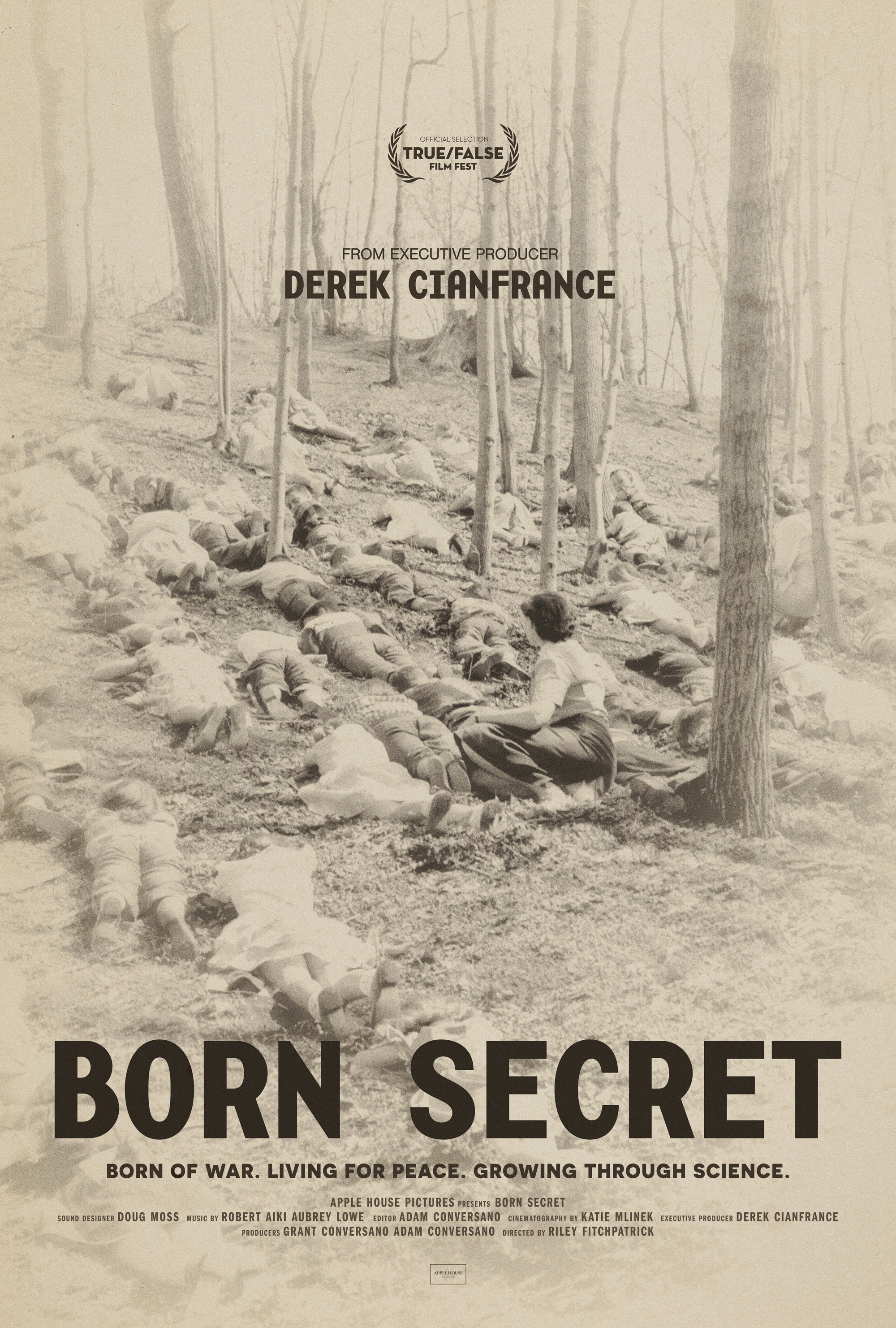 Poster de Born Secret
