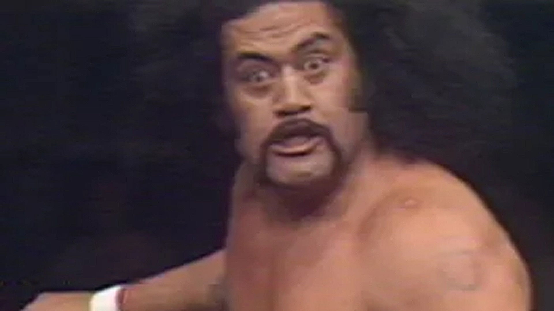 All Star Wrestling - November 17, 1979