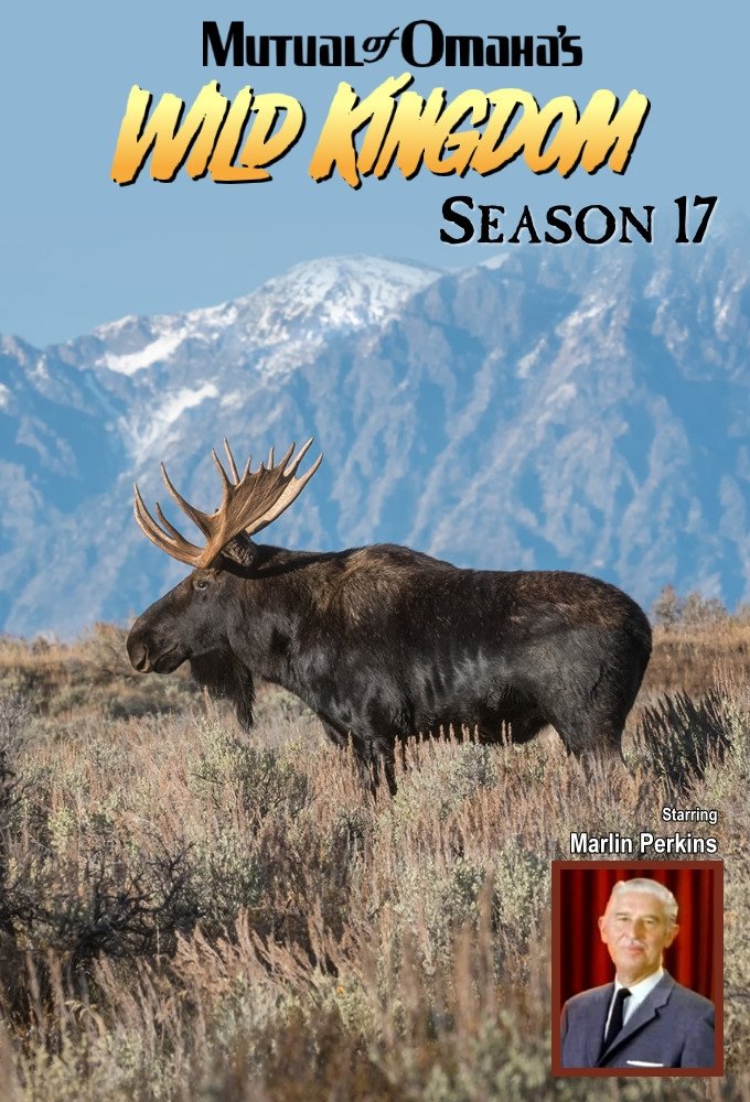 Poster de Temporada 17