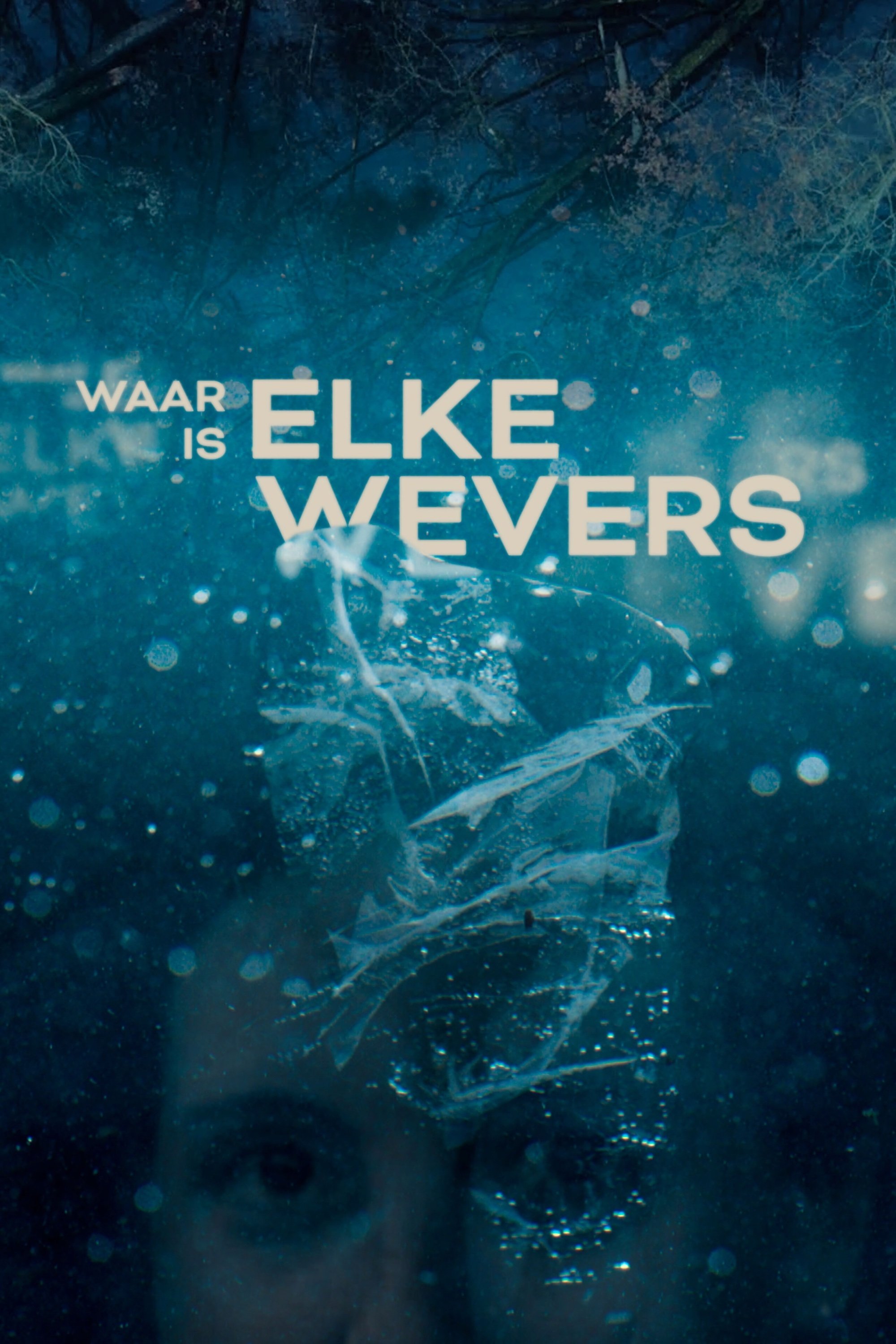 Poster de Waar is Elke Wevers?