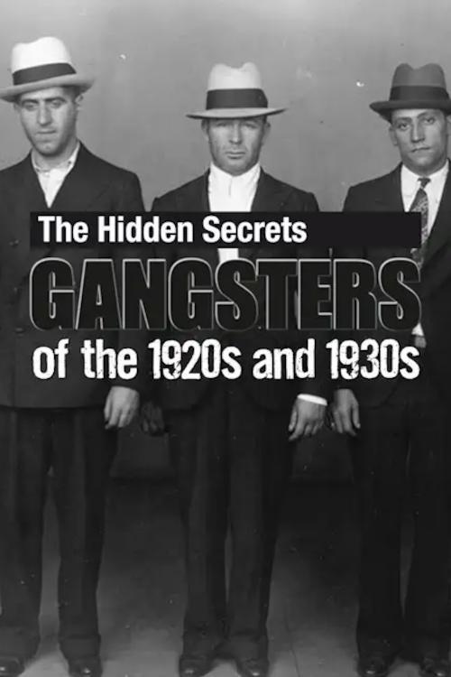 Poster de The Hidden Secrets: Gangsters of the 1920s and 1930s