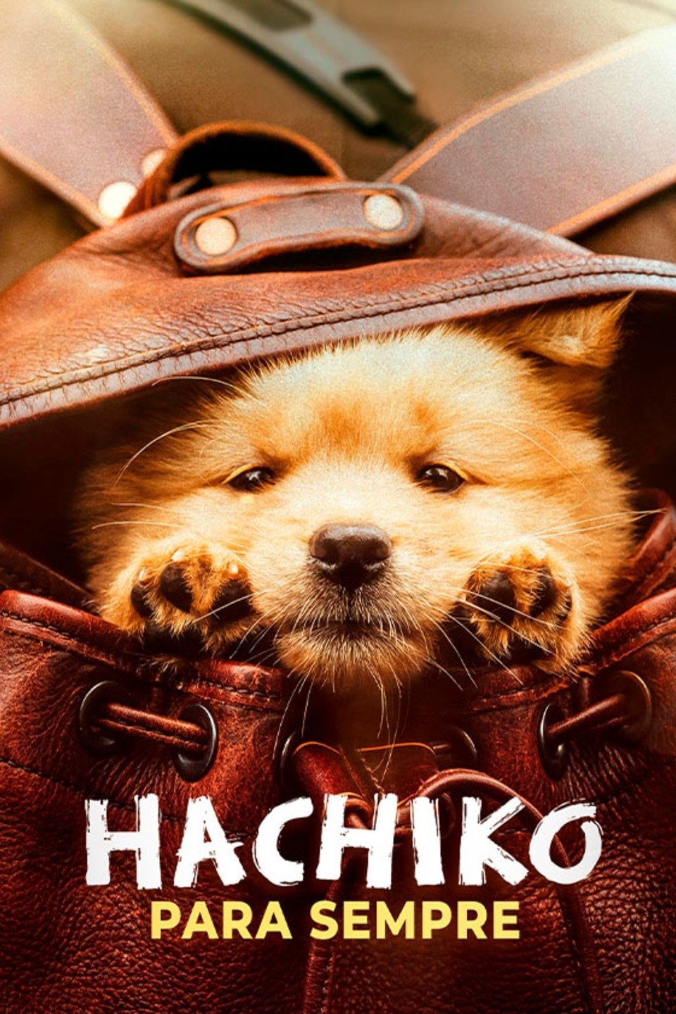 Poster de Hachiko Para Sempre