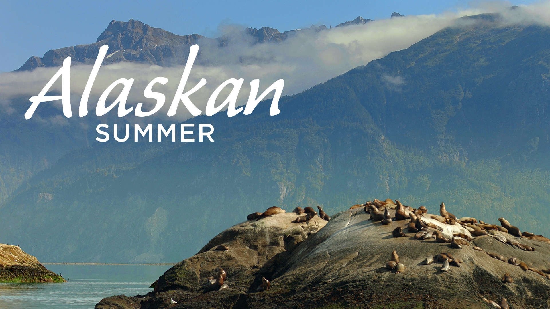 Alaskan Summer 2017 123movies