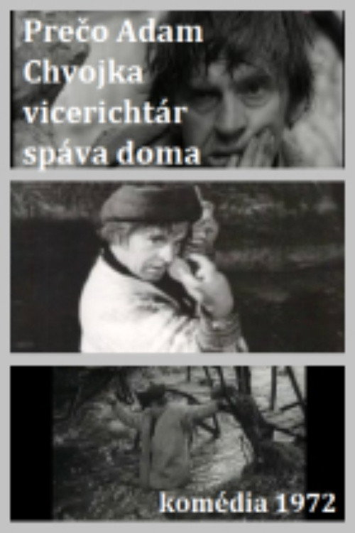 Adam Chvojka vicerichtár