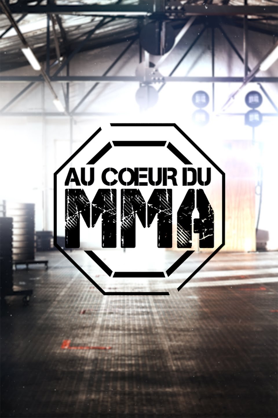 Poster de Au coeur du MMA