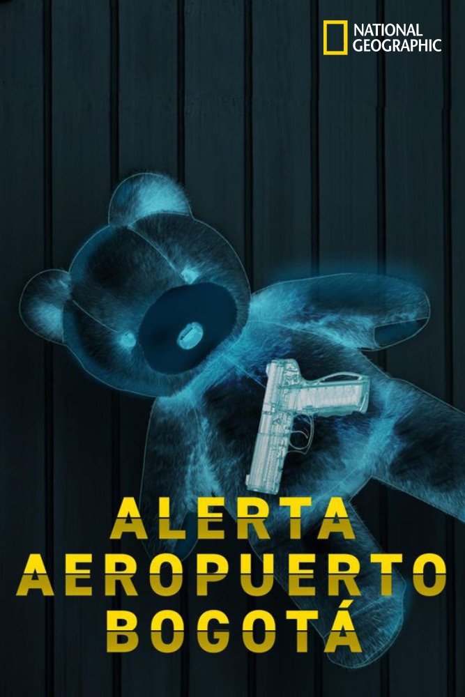 Poster de Alerta Aeroporto: Bogotá