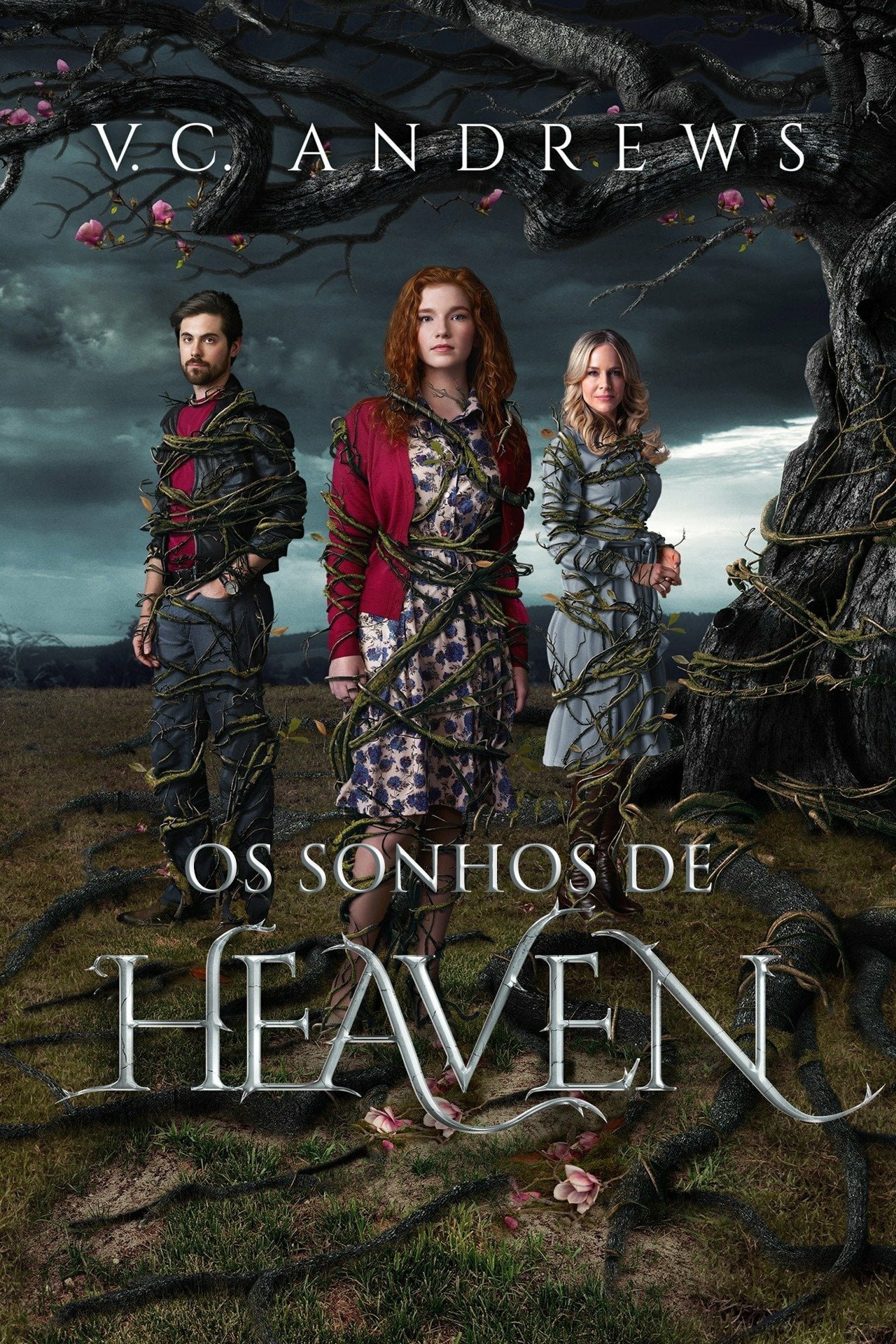 Poster de Os Sonhos de Heaven