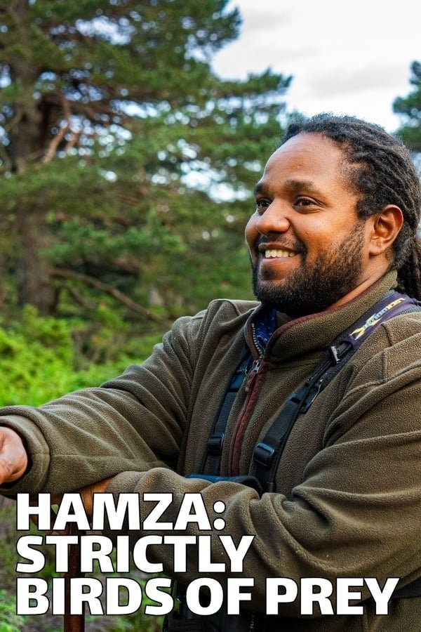 Poster de Hamza: Strictly Birds of Prey
