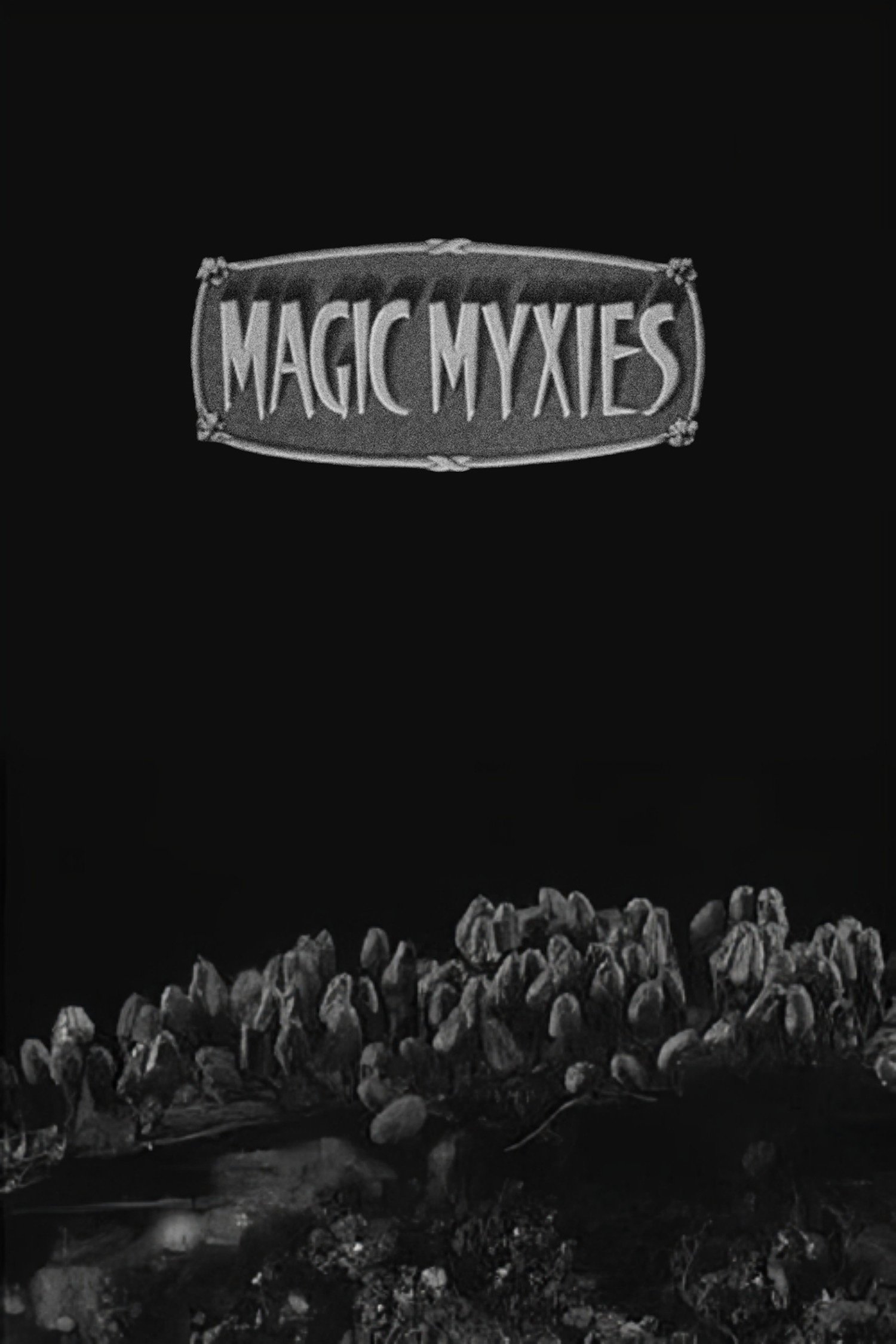 Poster de Magic Myxies