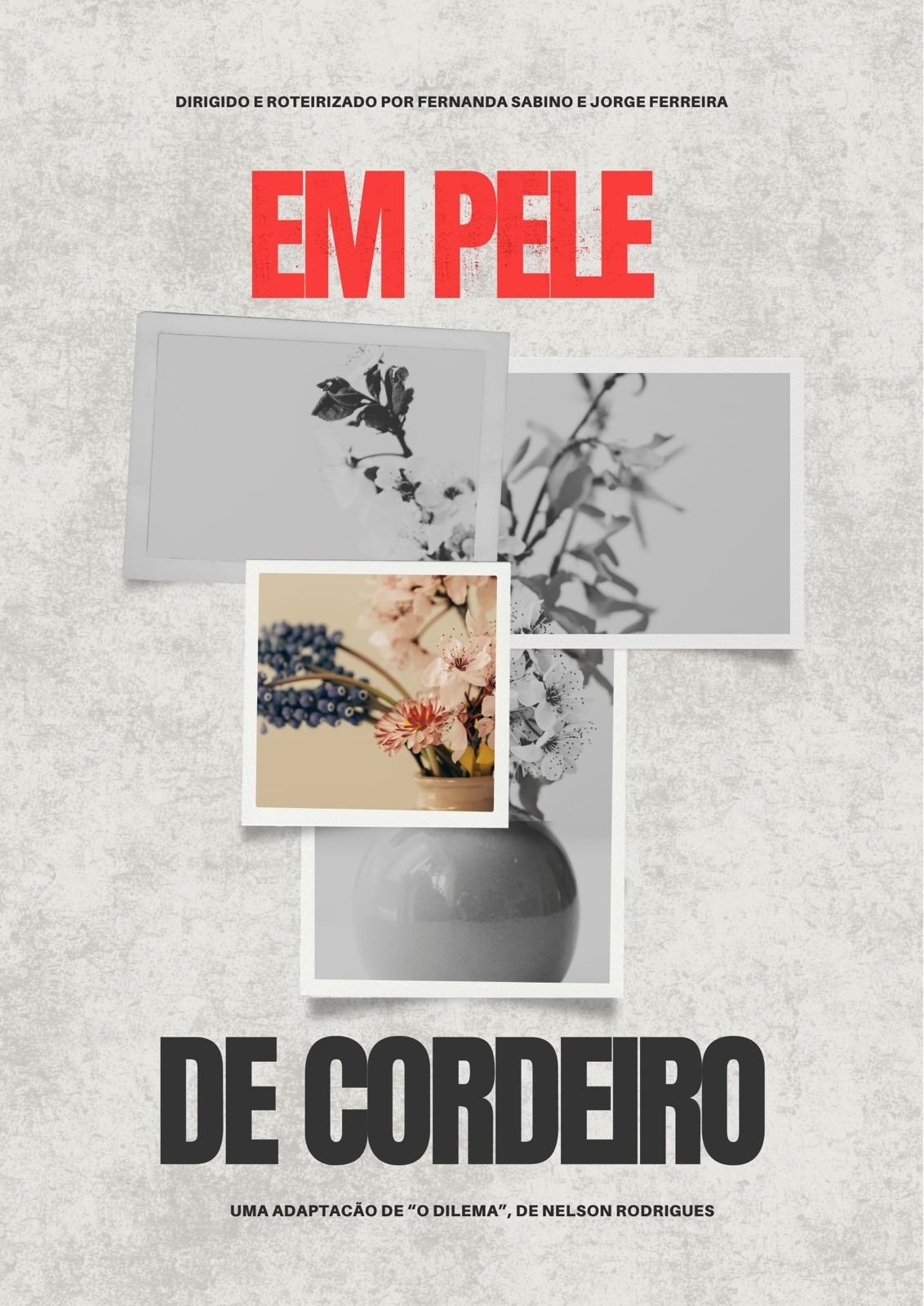 Poster de Em pele de cordeiro