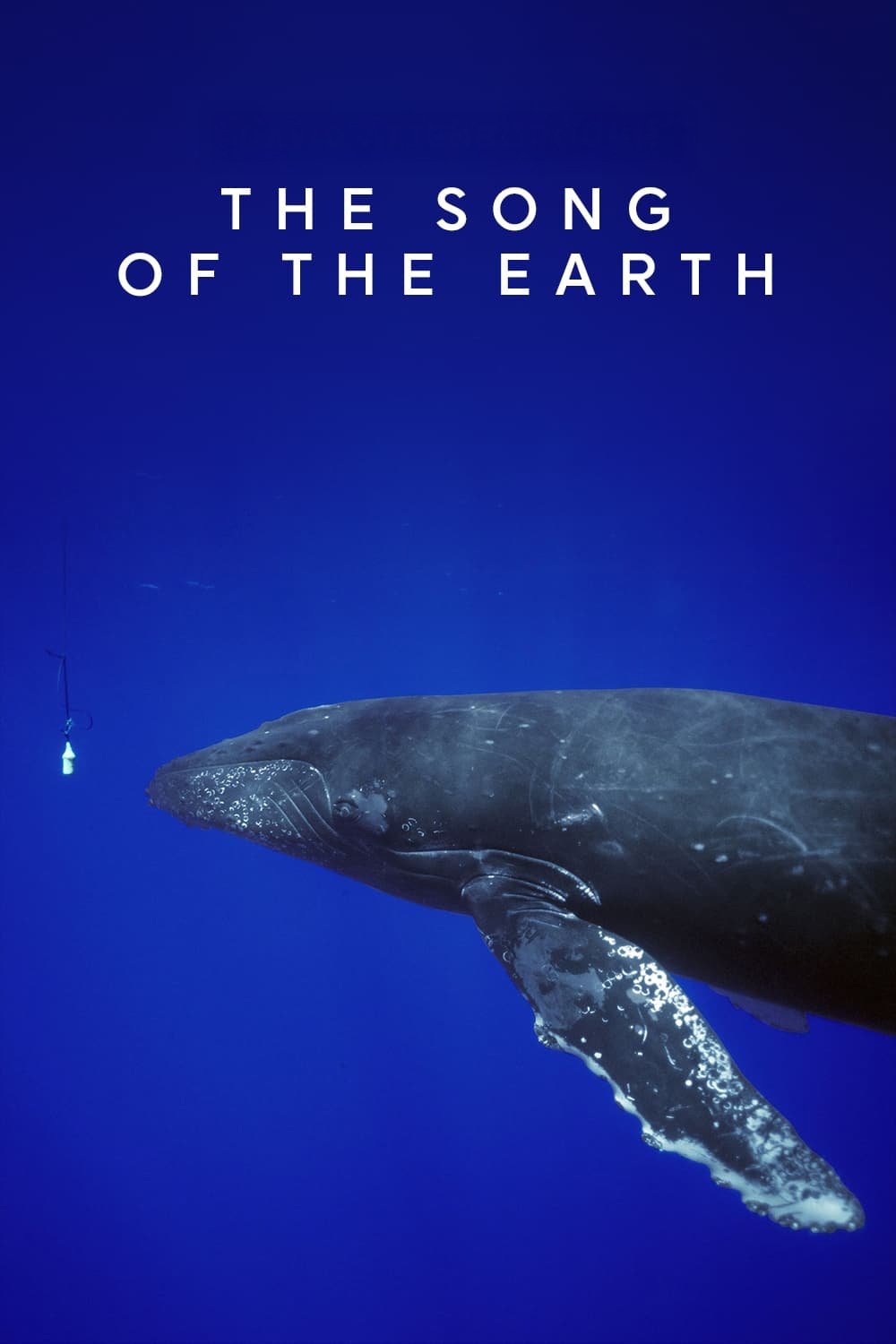 Poster de The Song of the Earth