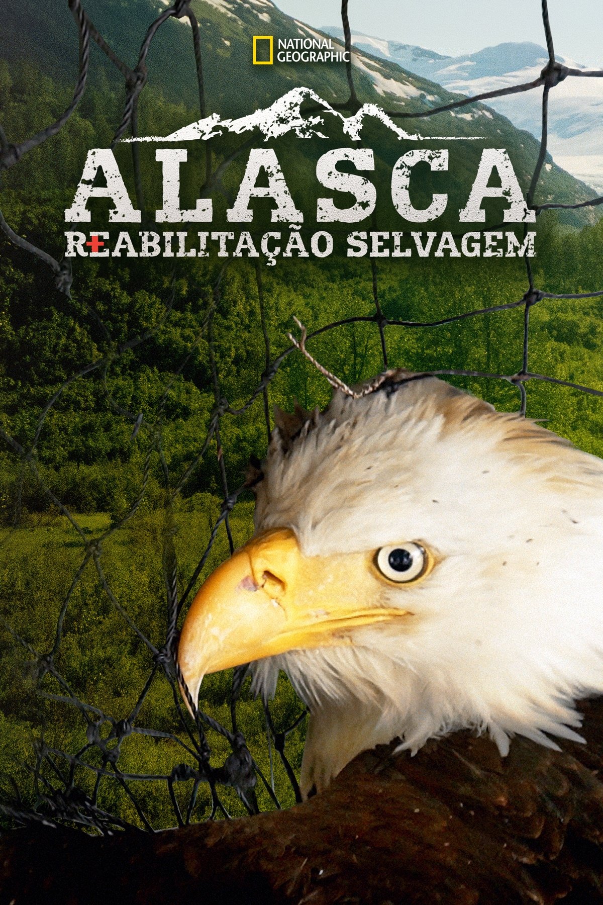 Poster de Alasca: Reabilitação Selvagem