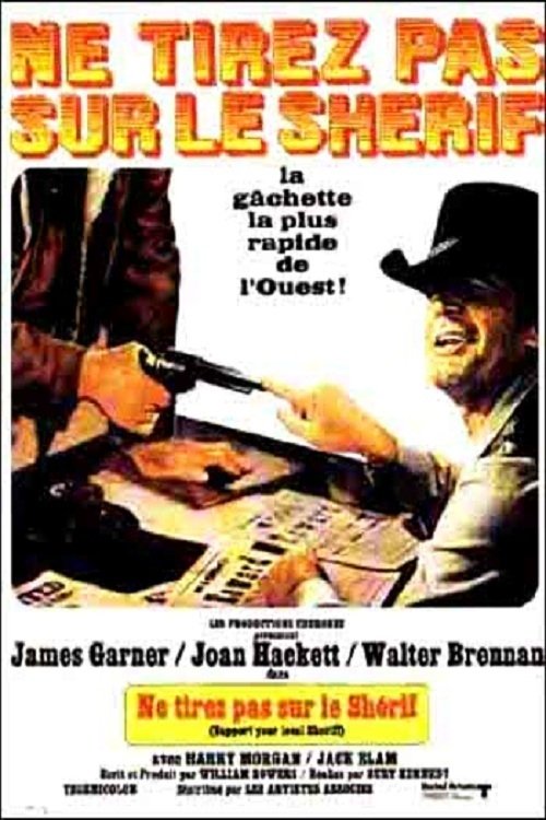 Affiche du film Support Your Local Sheriff!