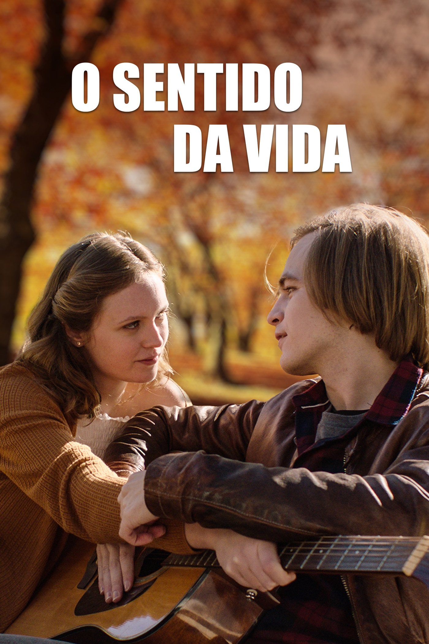 Poster de O Sentido da Vida