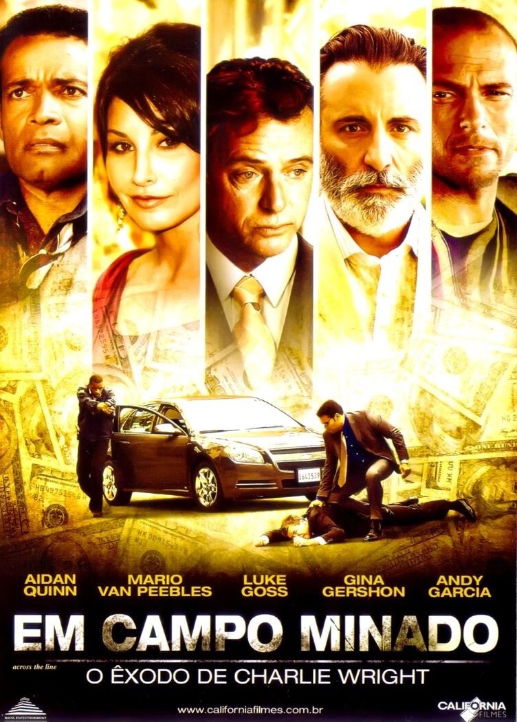 Poster de Em Campo Minado