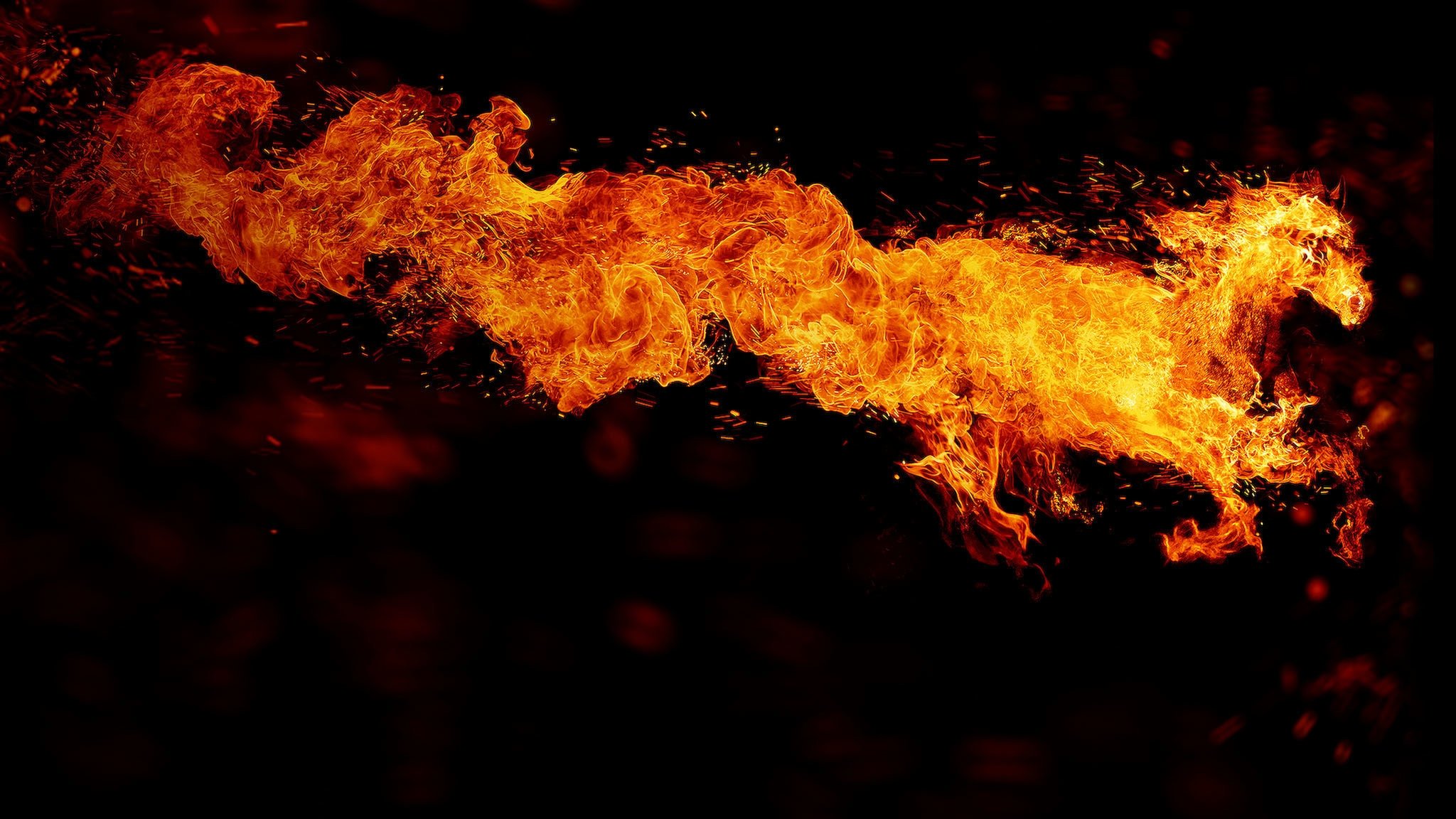 Backdrop image