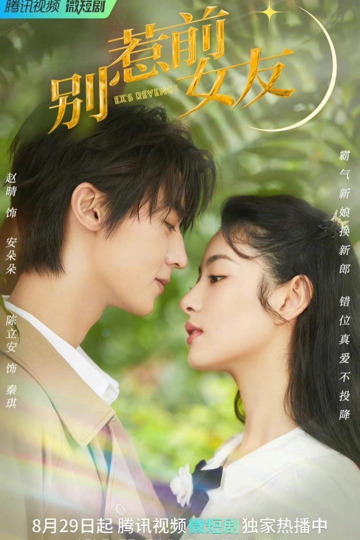 Poster de 别惹前女友