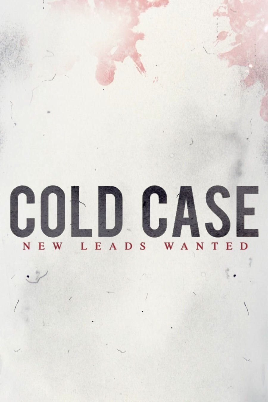 Poster de Cold Case