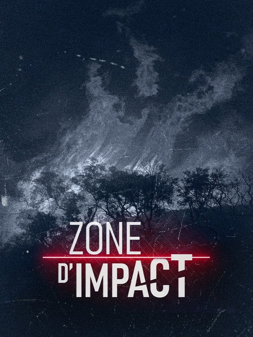 Poster de Zone d'impact