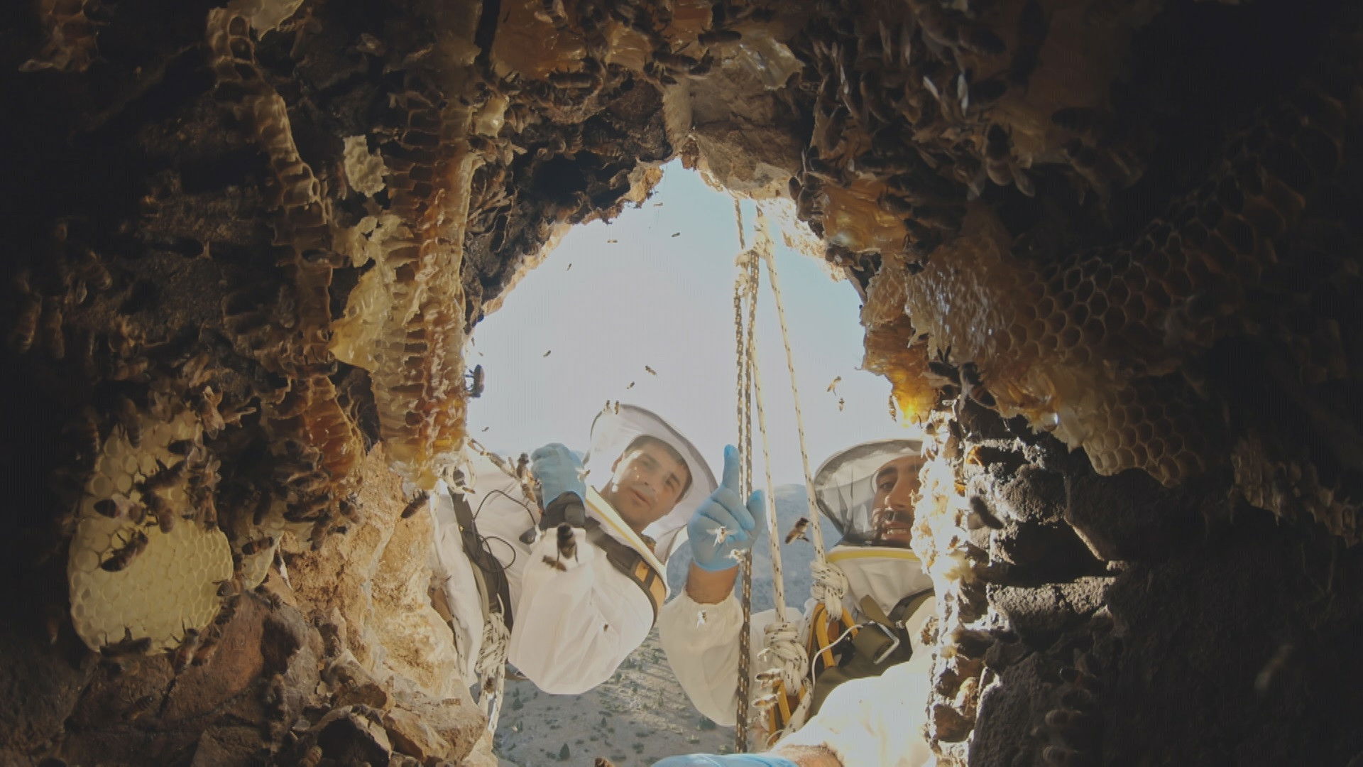 Ailenin Yeni Üyesi: Türkiye